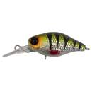 Jackall Chubby 38F MR HL Perch
