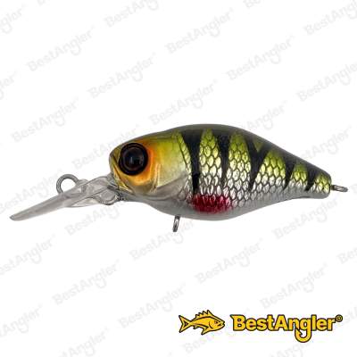 Jackall Chubby 38F MR HL Perch