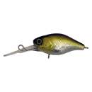 Jackall Chubby 38F D HL Shad