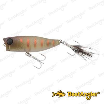 Jackall Chubby Popper 42 Shimashima Cricket