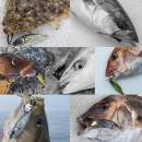 Little Jack Metal Adict 06 100g #05 Real Green Gold UV