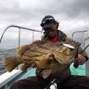 DECOY DJ-88 Twin Pike