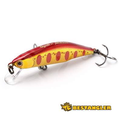 Jackson Meteora 52 AKY