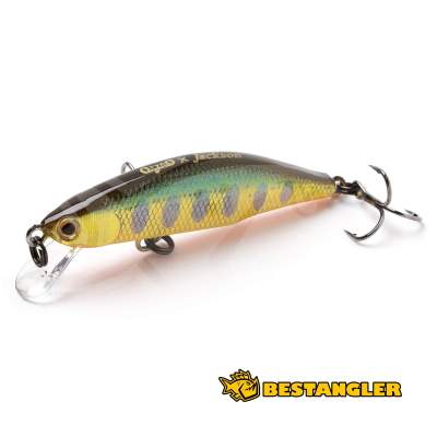 Jackson Meteora 52 SKY