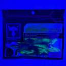 Jackall Pine Shrimp AR Custom 3.5" Green Pumpkin / Chart - UV