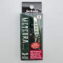 Jackson Meteora 45 RY III