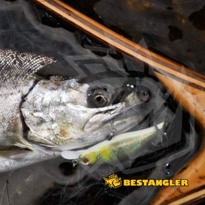 DECOY Single 28 Troutin’ #4 - 808979