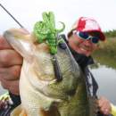 DECOY Worm 217 Zero‑Dan