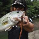 DECOY Worm 217 Zero‑Dan