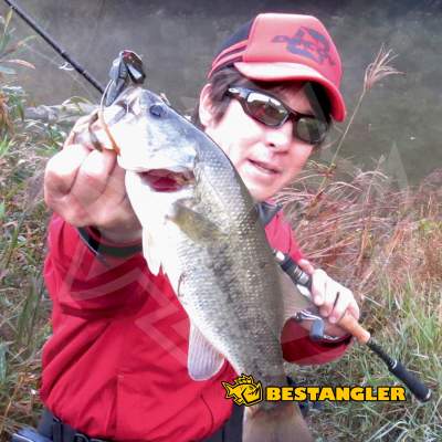 DECOY ZF-1 Zero-Dan Flash Offset