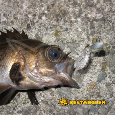 DECOY SV-45 Slide Bomb