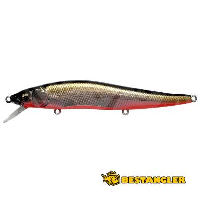 Megabass Vision ONETEN M RB Shad