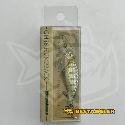 Megabass GH46 Humpback TAKUMI KAWAMASU - 3