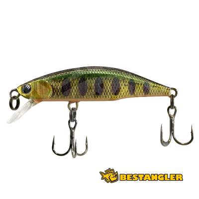 Jackson Meteora 52 SKY