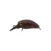 Jackall Timon Micro Panicra MR-F Tackey Brown